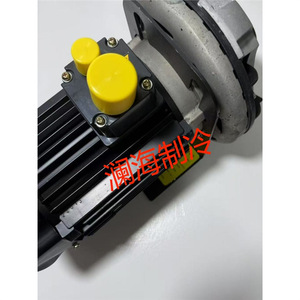 Pompe à eau Carrier 30RB080 00PSY001000851, pompe de conduite pour remplacement et réparation, modèle standard à entraînement magnétique - Product Image 2
