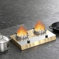 Cuisinière électrique portable à double brûleur, sans gaz, pour cuisine domestique, à flamme nue, OEM/ODM, nouvelle énergie