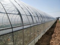 Film PO personnalisable en produits multifonctionnels tels que des films luminescents, diffuseurs et réfléchissants