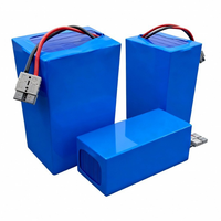 Batterie intelligente 48V pour AGV de manutention, pour l'entretien des voies à basse et haute température, avec 3000 cycles de charge