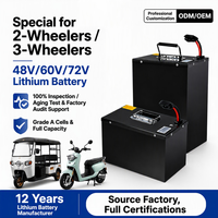 RUNHANG RH-4820 Batería de Iones de Litio LiFePO4 de Alta Capacidad 48V 20-50Ah 500-1000W 4000+ Ciclos para Bicicleta Eléctrica, Scooter, E-Rickshaw