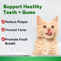 Poudre dentaire moderne pour animaux de compagnie OEM/ODM – Complément de soin buccal favorisant une haleine fraîche et le nettoyage des dents – Élimine la plaque dentaire pour chats et chiens
