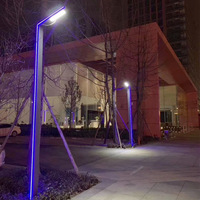 MOQ bajo Luz de jardín moderna Lámpara de aleación de aluminio decorativa de alto brillo Calle Impermeable LED Luz de césped de calle solar