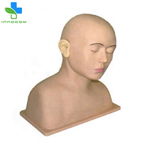 Simulador avanzado de irrigación de oídos, modelo anatómico, entrenamiento de ciencia médica, maniquí de PVC, escuela médica, otros educativos