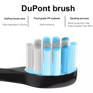 Brosse à dents électrique sonique à ultrasons OEM à lumière bleue pour blanchiment des dents, vente chaude - Product Image 3