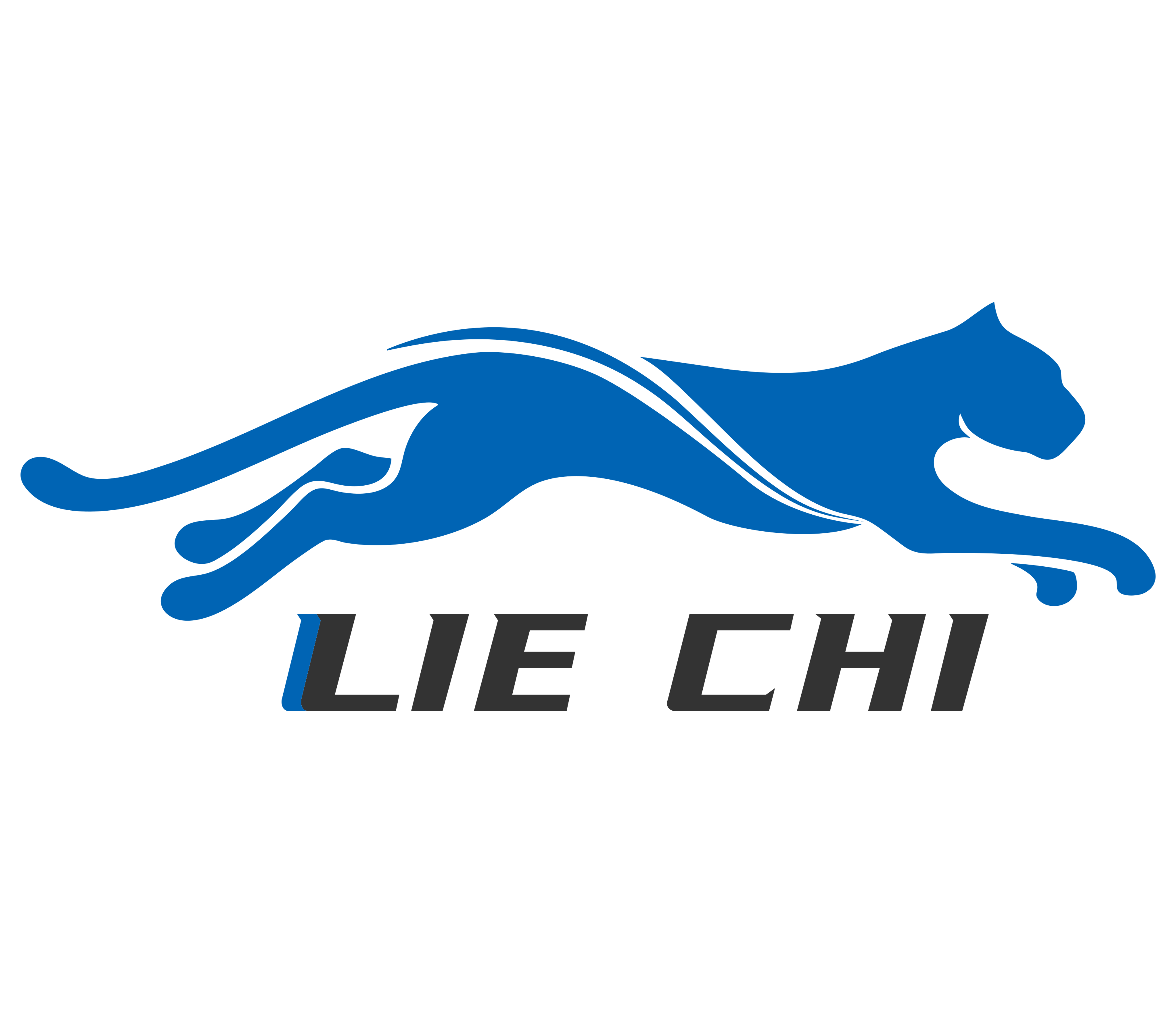 Yiwu Liechi Auto Accessories Co., Ltd. logo