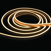 Bande lumineuse LED néon flexible en silicone 6x12mm, indice de protection IP65, dimmable, lumière du jour 6000K, 12V, durée de vie 50000 heures, CRI80, intérieur/extérieur