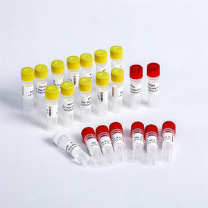 Construction de la bibliothèque NGS DNA PCR Multiplex Oligos 2 pour plate-forme Illumina K002-B 192 rxns - Product Image 3