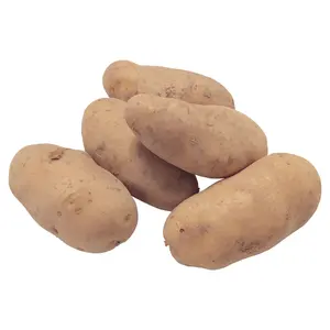 China 2023 new crop Fresh Potato supplier for export