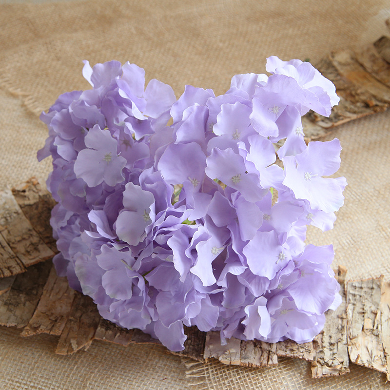 Pourpre