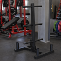 Support de rangement vertical professionnel pour plaques de musculation SK – Équipement de gym commercial – Porte-plateaux de musculation – Fabrication usine
