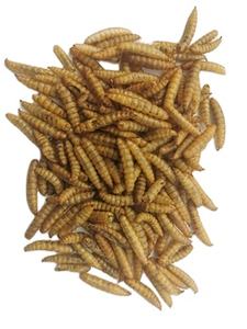 Secador de bandeja de microondas tipo lote de gabinete de acero inoxidable PLC Industrial para procesamiento de alimentos con esterilización y secado de insectos - Product Image 5