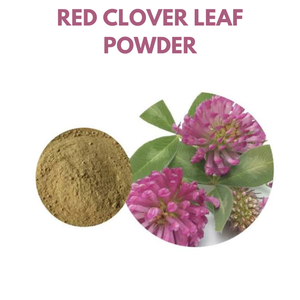Hoge Kwaliteit Food Grade Rode Klaver <span class=keywords><strong>Extract</strong></span> <span class=keywords><strong>8</strong></span>% <span class=keywords><strong>20</strong></span>% 40% 80% Isoflavonen Rode As Poeder - Product Image 5
