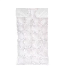 Suministro <span class=keywords><strong>de</strong></span> fábrica Cubo <span class=keywords><strong>de</strong></span> hielo desechable Paquete <span class=keywords><strong>de</strong></span> hielo frío Bolsa enfriadora Plástico transparente LDPE Bolsa <span class=keywords><strong>de</strong></span> congelador <span class=keywords><strong>de</strong></span> cubitos <span class=keywords><strong>de</strong></span> hielo con cierre automático - Product Image 2