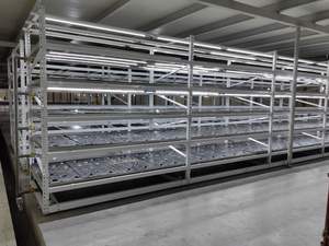 Sistema Hidropónico Inteligente de Flujo y Reflujo de 4X8 Pies con Luces LED de Espectro Completo, Bomba y Circulación de Agua Automatizada - Product Image 2