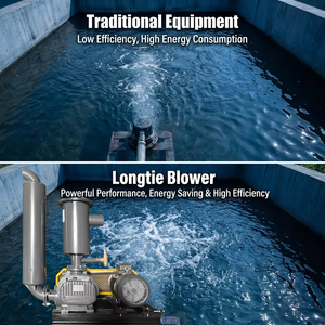 Longtie High-Efficiency 3-Lobe Roots <b>Blower</b> for Biogas Conveying & Sewage Aeration - Product Image 2