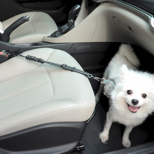 Vente en gros usine SORADD SRD-682 – Laisse de sécurité rétractable et réglable pour animaux de compagnie, certifiée ISO9001, écologique, robuste et durable - Product Image 2