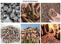 Four à air chaud à biomasse et au charbon de bois de 600 000 kcal/h à 800 000 kcal/h pour l'industrie
