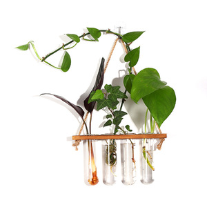 Seeking Excellence Wall Mounted Hydroponic Plant Holder 1 Layer 4 Tube Wooden Rack Glass Test Tube Decorative Home Greenery - Product Image 1