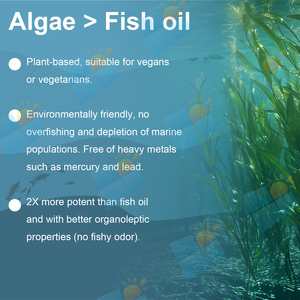 OEM/ODM/OBM 100% reine Bio-Kinder Multi vitamin DHA Omega 3 Fischöl Ergänzungen Omega 3 6 9 DHA Gummies für Kinder 60 Gummies - Product Image 3