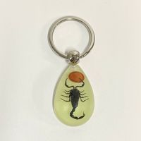 Porte-clés en résine avec des insectes réels lumineux de taille moyenne, scorpion