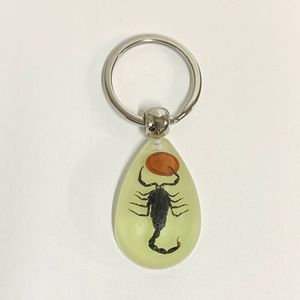 <span class=keywords><strong>Porte</strong></span>-clés en <span class=keywords><strong>résine</strong></span> avec des insectes réels lumineux de taille moyenne, scorpion - Product Image 5