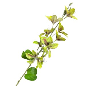 Bouquet de fleurs artificielles de Bauhinia Jinxi, fleurs en soie, branche unique, blanc, rouge, jaune, pour la décoration de la maison et des mariages - Product Image 4