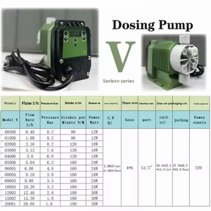Pompa Dosatrice Automatica per Piscina ALLEDOSIEREN per pH e <span class=keywords><strong>Cloro</strong></span> 220V 110V 0.48LPH 8.2BAR con Spina Personalizzata - Product Image 4