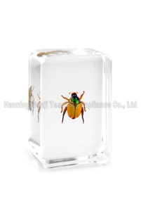 Sciarapone a braccio lungo ecologico in resina, artigianato in vero resina epossidica, campione animale per regali - Product Image 5