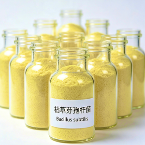 Bacillus Subtilis 100 Mil Millones <span class=keywords><strong>de</strong></span> UFC/g, Enzimas <span class=keywords><strong>de</strong></span> Bajo Olor a Amoníaco, Aditivo para Alimentos, Mejora la Digestión y la Nutrición, Alimento para Aves <span class=keywords><strong>de</strong></span> Corral en Granjas Cerradas - Product Image 5