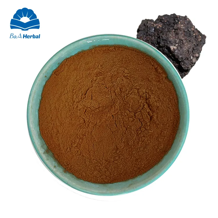 Shilajit Resin Pure Himalayan Shilajit Harz Extract Powder Fulvic Acid 50%