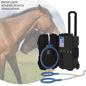 Appareil de magnétothérapie PEMF portable pour la rééducation physique des chevaux, thérapie par boucle magnétique EMTT - Product Image 4