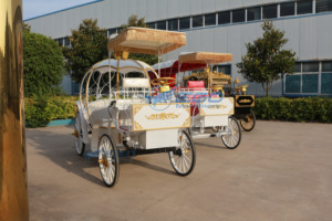 Carruaje de Cenicienta en Venta, Transporte Especial, Carruaje de Fantasía de Princesa Calabaza, Carruaje Eléctrico en Venta - Product Image 6