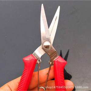 กรรไกรตัดแต่งกิ่งไม้พุ่มวิสทีเรีย 55 มม. สแตนเลสสตีล หัวตรง ดีไซน์แบบผีเสื้อ สำหรับตัดแต่งต้นไม้ผลไม้ในสวน - Product Image 5