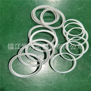 MAT'L: PTFE + aşındırma politetrafluoroethethsel mühürlü bahar enerji depolama halkası - Product Image 3