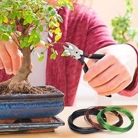 Kit de fil de formation de bonsaï fil d'arbre en aluminium anodisé avec outils de fil de formation de plante de coupe d'arbre de bonsaï pour arbres de bonsaï
