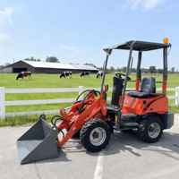 Consegna Rapida, Caricatore Frontale Elettrico Mini QW04 da 0,4t Nuovo di Zecca per Fattoria e Casa, Alimentato a Batteria con Motore e Pompa in Vendita