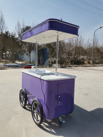 Chariot de vente de glace italienne glacée, chariot de glace réfrigéré électrique solaire