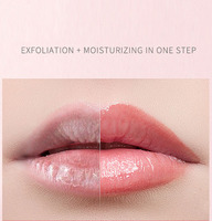 Baume à lèvres magique à changement de température, marque privée, gelée transparente, hydratant aux fleurs, brillant à lèvres rose pour la vente en gros