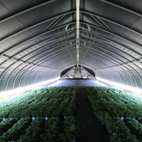 Serre agricole mobile à faible coût, tunnel de culture de tomates, couverture en film plastique, serre à champignons, serre solaire
