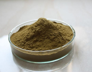สารสกัดจาก<span class=keywords><strong>หน่อไม้ฝรั่ง</strong></span> Racemosus 10:1, 10% Polysaccharide Shatavari รากผง - Product Image 4