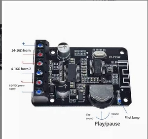 XY-P15W 5.0 Bảng Mạch Khuếch Đại Có Hộp 10W/15W/20W Bảng Mạch Khuếch Đại Công Suất 12V/24V Cao Cấp Kỹ Thuật Số <span class=keywords><strong>Module</strong></span> Khuếch Đại - Product Image 4