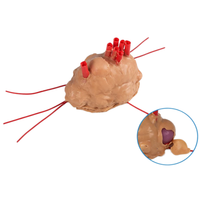 Modelo de Entrenamiento Laparoscópico para Fibroides Uterinos, Simulador de Resección de Histeromioomas de Silicona para Entrenamiento en Cirugía Ginecológica
