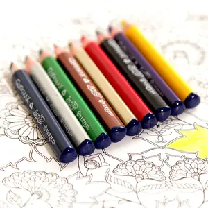 स्कूल के लिए निर्माता सस्ते स्टेशनरी लैपिस डी कलर्स थोक लकड़ी के मानक 2बी एचबी हेक्सागोनल रंगीन पेंसिल