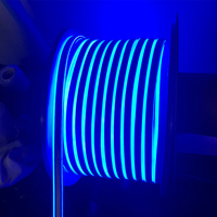 Bande lumineuse LED en PVC découpable, étanche IP68, 24V/110V/220V, 10x15mm, néon flexible pour festivals, fêtes, événements, décoration