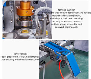 Ticari Elektrikli Yumurtalı Tart Hamuru ve Kabuk Makinesi Paslanmaz Çelik 304 Yüksek Kapasiteli Tartlet Yapıcı - Product Image 3