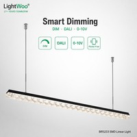 Illuminazione Lineare LED Dimmerabile 0-10v Dali, 3CCT Regolabili, 40w 60w, Luce ad Alta Efficienza, Semplice Barra Lunga a Sospensione