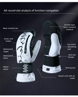 Gants de ski noirs à double couche Gants de neige d'hiver avec imperméable et résistant à l'usure avec gants intérieurs