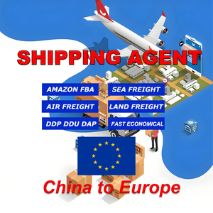 Top 10 Chinese expediteurs, zeevracht expediteur, DDP logistieke dienstverlening naar Spanje, goedkope zeevracht verzendkosten - Product Image 2