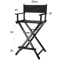 Chaise pliable portative professionnelle en métal pour une utilisation intérieure et extérieure meubles de camping de directeur d'artiste de beauté pour le salon